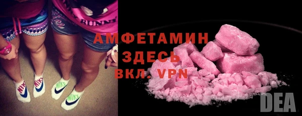 крисы Абаза