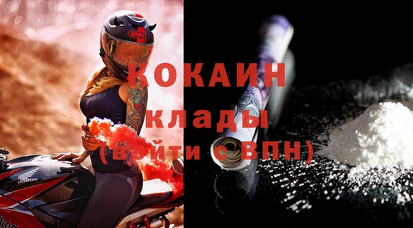 крисы Абаза