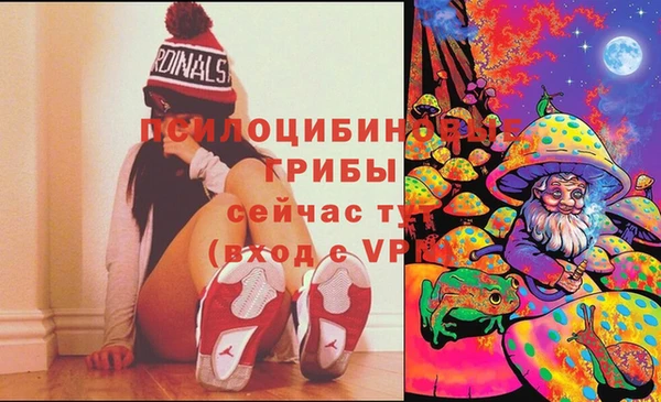 крисы Абаза