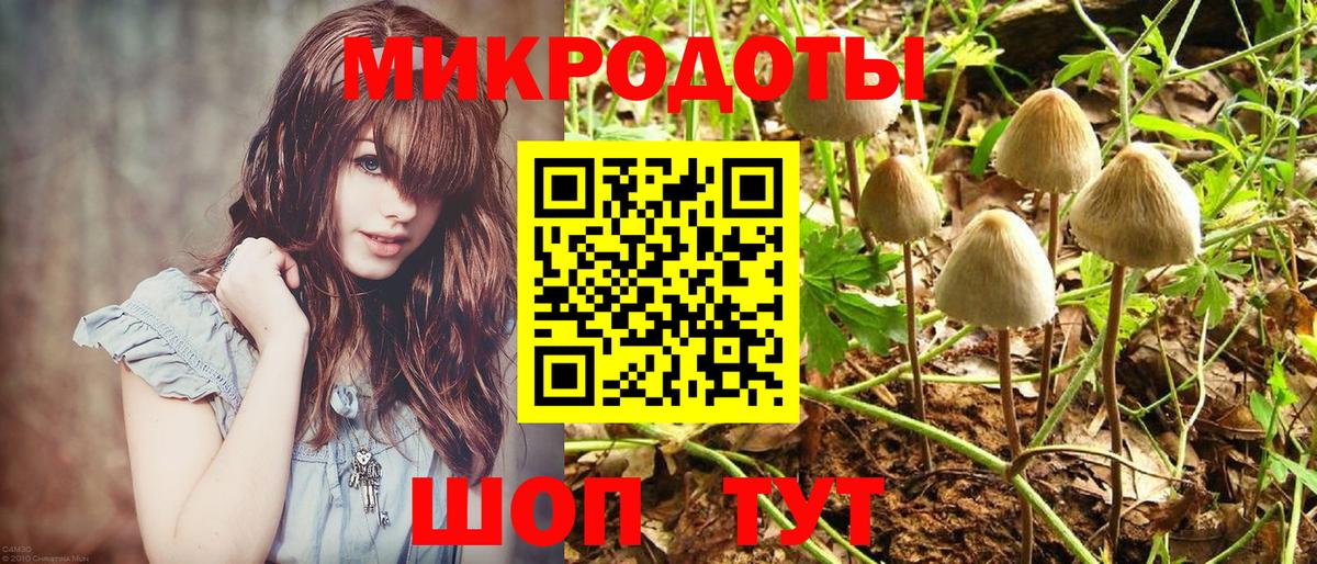 Галлюциногенные грибы MAGIC MUSHROOMS Ртищево