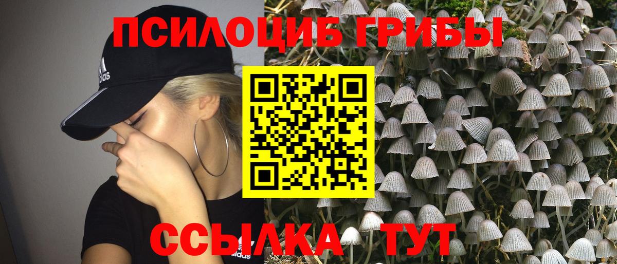 Ртищево  Псилоцибиновые грибы мицелий  Вход с VPN  Галлюциногенные грибы MAGIC MUSHROOMS 