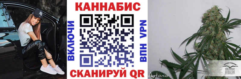 Шишки марихуана Bruce Banner  наркотики  Ртищево 